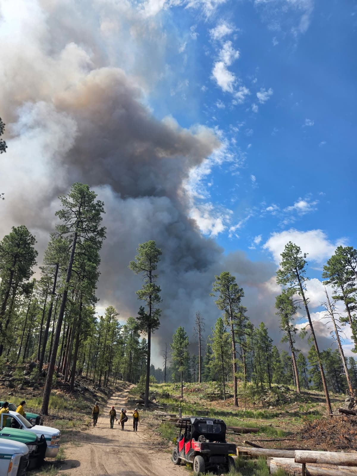 McCauley Springs Fire grows to 150 acres, threatens Highway 4 access