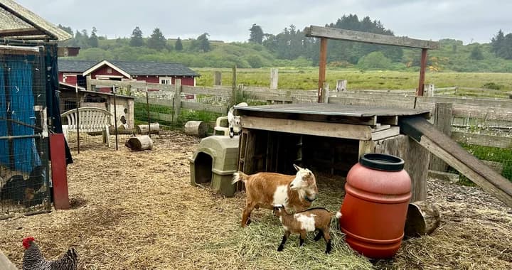 Carole Sund Center marks 45 years of hands-on support in Humboldt County