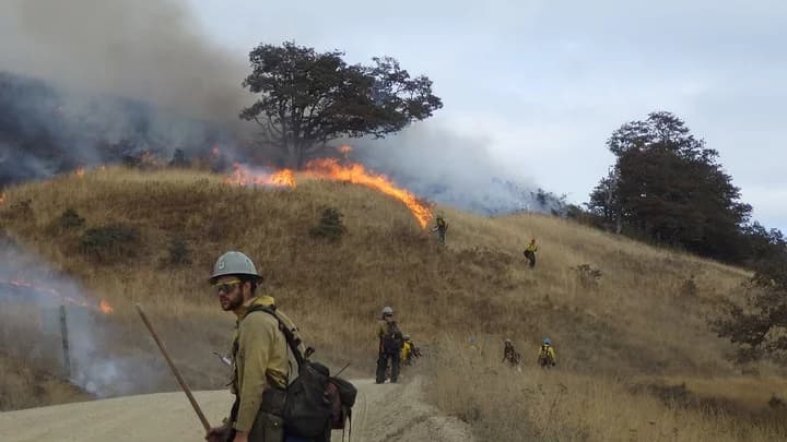 CalFire plans prescribed burn near Ettersburg to remove invasive barb goatgrass