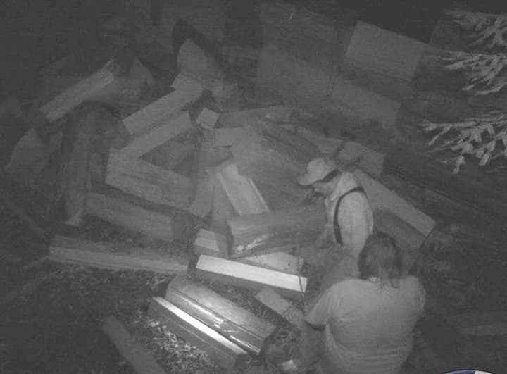 McKinleyville man arrested in redwood theft from Humboldt Redwoods State Park