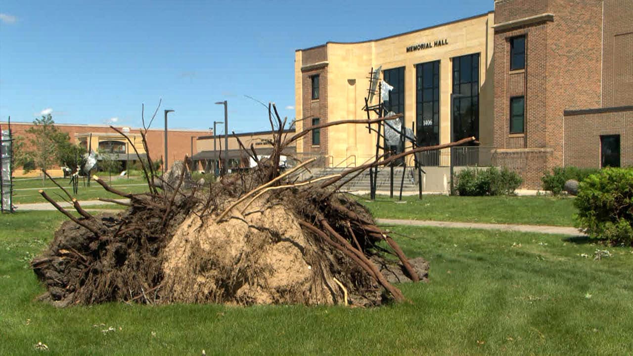 BSU plants 80 trees to restore campus after windstorm damage