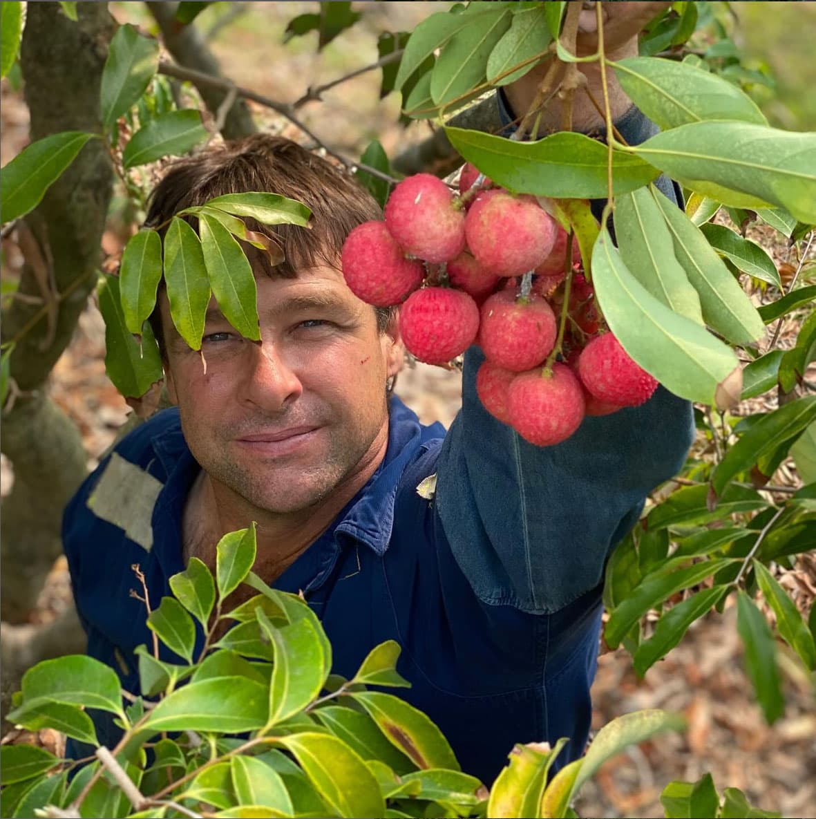 Video Game Co-Founder Buys 21-Acre Kealakekua Farm, Plans Lychee Orchard Revival