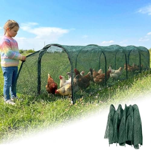 Best coop and run kits for backyard chickens, tested for real flocks