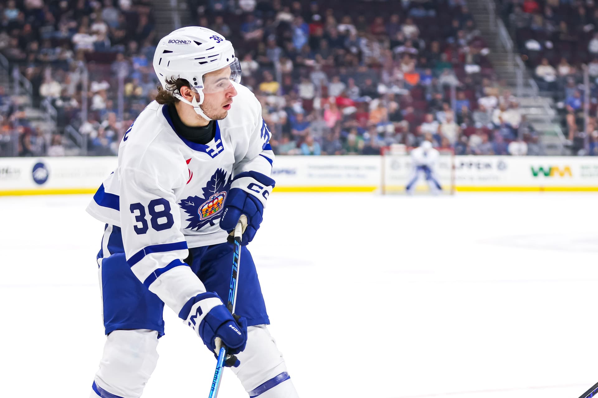 Ben Danford impresses in Marlies debut, eyes Calder Cup run