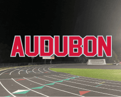 Newell-Fonda, St. Mary’s boys fall short at Audubon qualifier, post strong marks