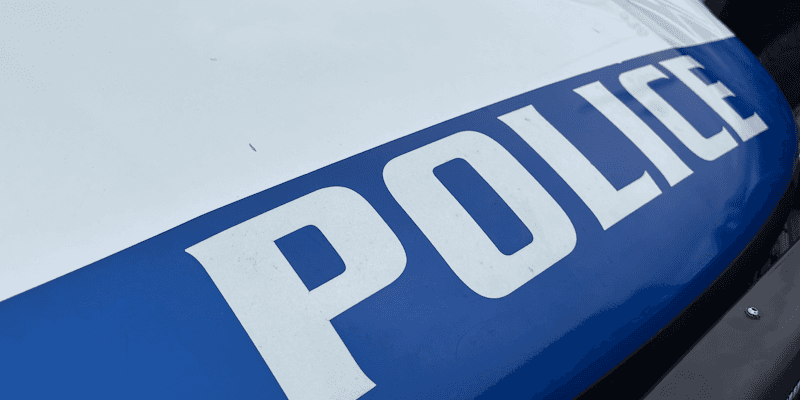 Police K-9 helps arrest robbery suspect in downtown St. John’s