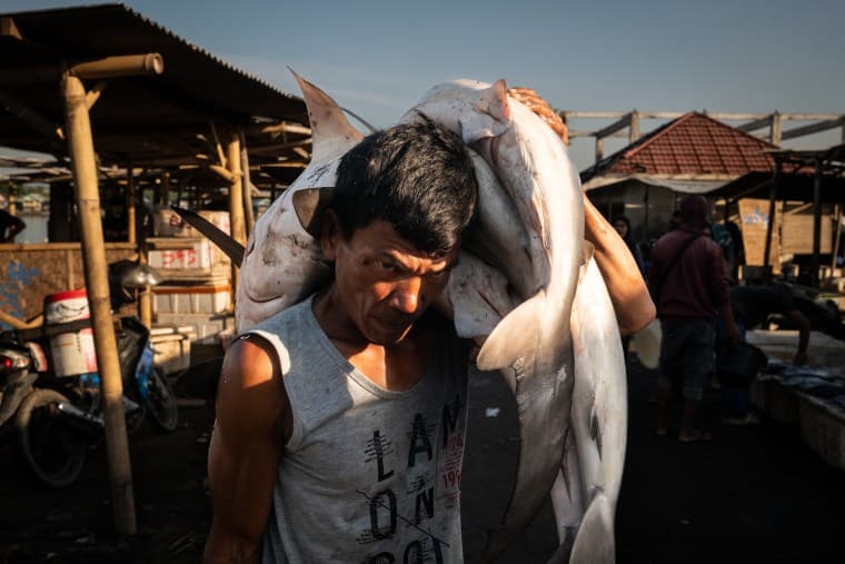New photo exhibition reveals Southeast Asia’s industrial fishing crisis