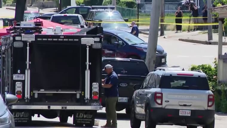 ICE orders officers to stop vehicle pursuits after fatal shootings