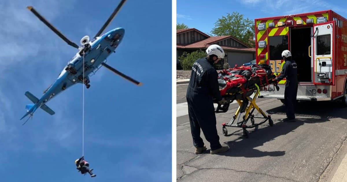 Arizona Hiker Airlifted After Being Stung Over 100 Times by Bees