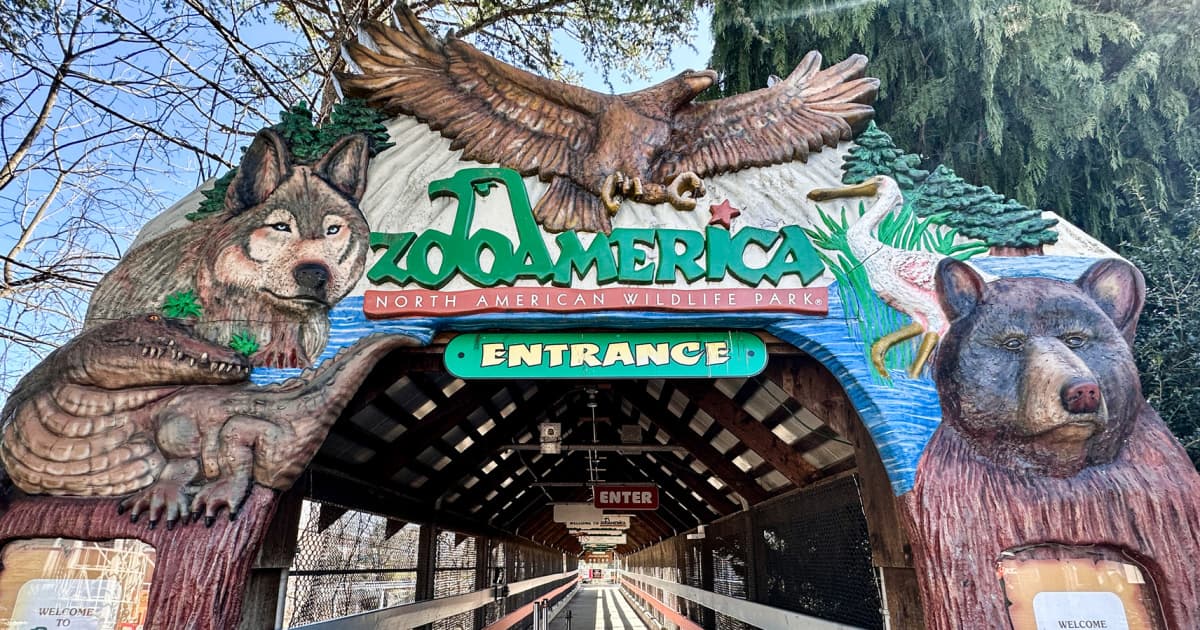 Child Suffers Minor Injuries After Entering Wolf Enclosure at Zoo America