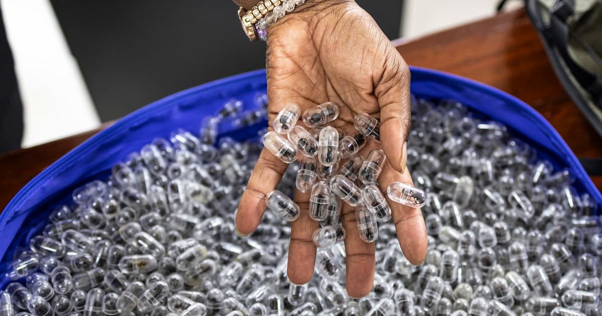 Kenyan court jails Chinese man for smuggling 2,200 live queen ants