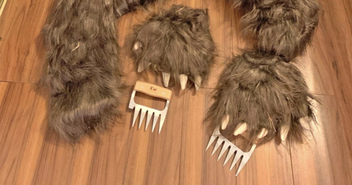 California trio sentenced in bear-suit luxury car insurance fraud scam