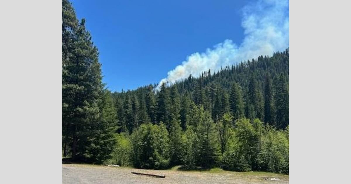 Marine F/A-18 crashes in Washington state mountains, pilot escapes safely