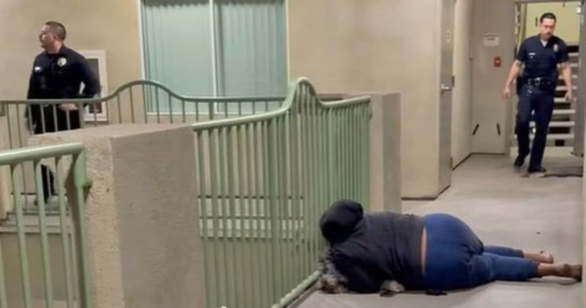 Los Angeles police fatally shoot Knicks jersey dog after celebration call