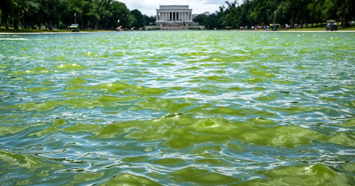 Trump renames Reflecting Pool blue for America’s 250th anniversary