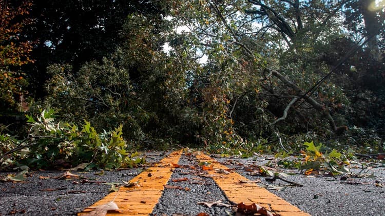 Severe March 12 Storms Knock Out Power, Down Trees Across Forsyth County