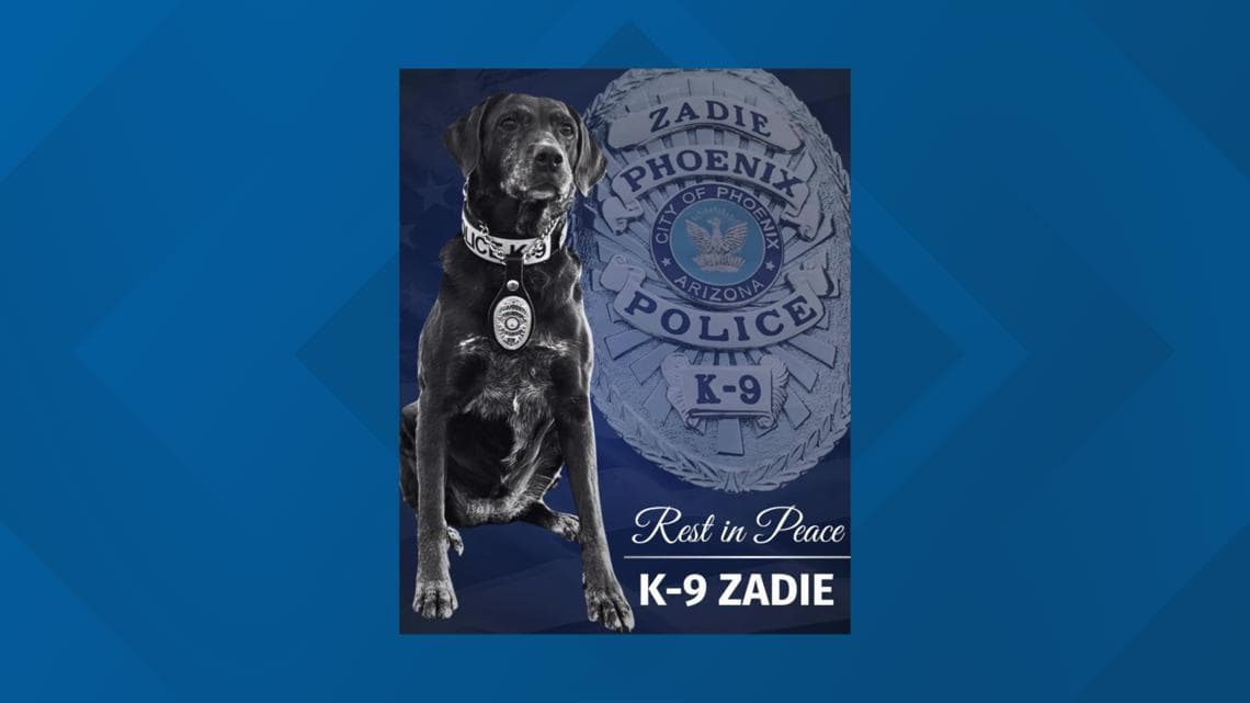 Phoenix police mourn retired K-9 Zadie after nearly 10 years of service
