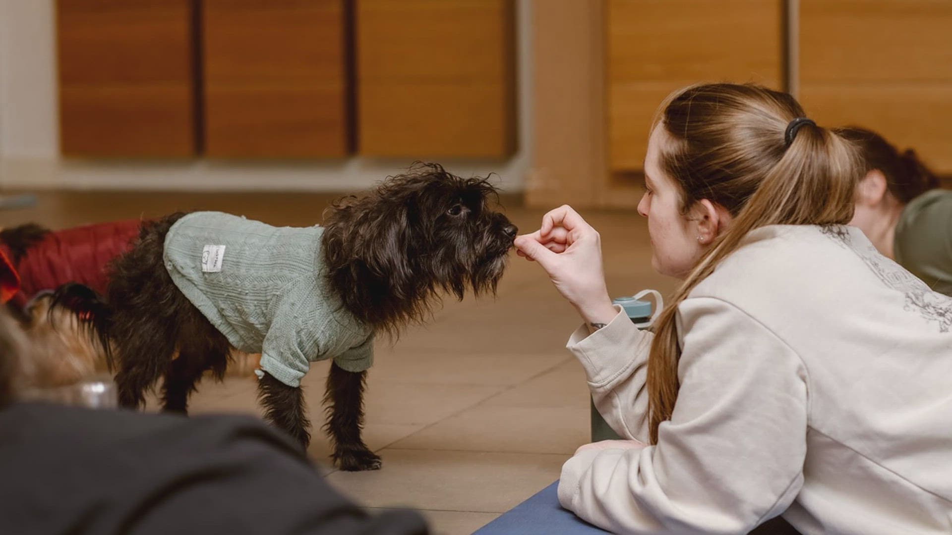 Los Angeles Studio Combines Puppy Yoga Classes With Rescue Dog Adoption