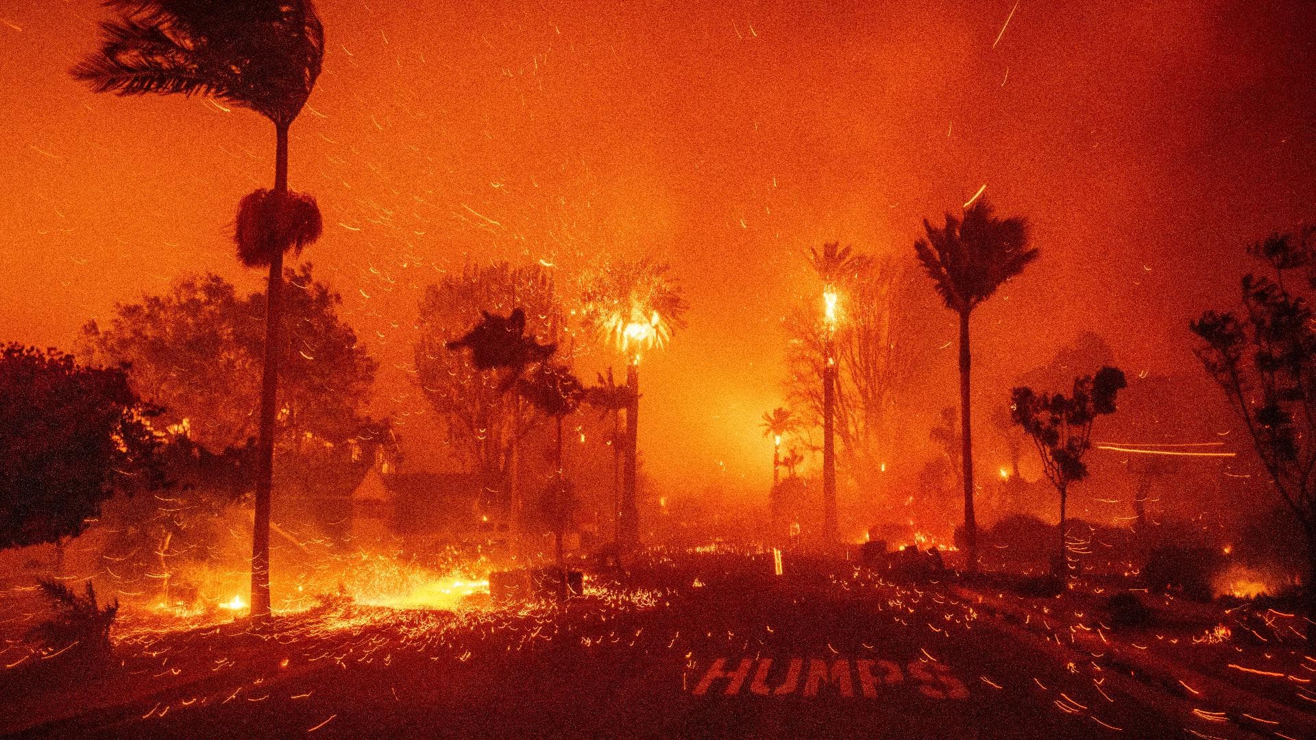Los Angeles fires drive record global wildfire losses in 2025