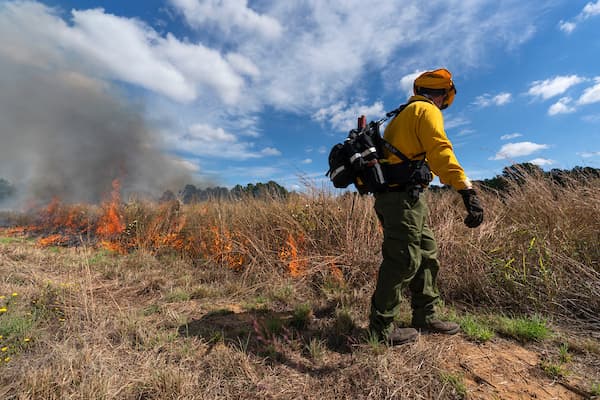 OSU feature shows prescribed burns help Texas County grasslands and fire training