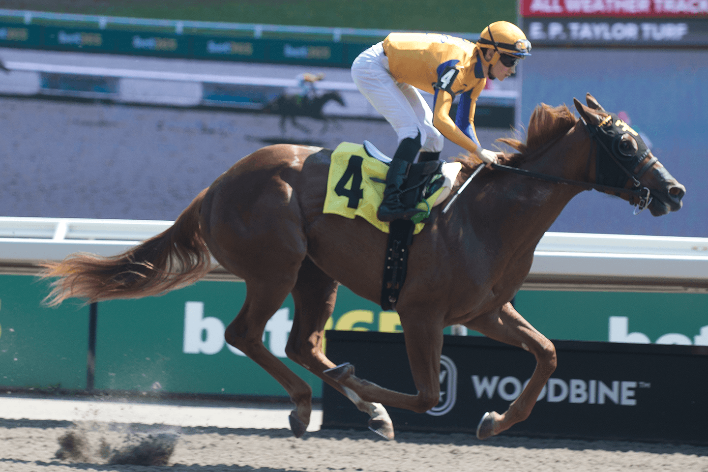 Ez Tina gives Golden Pal third winner, eyes Royal Ascot possible