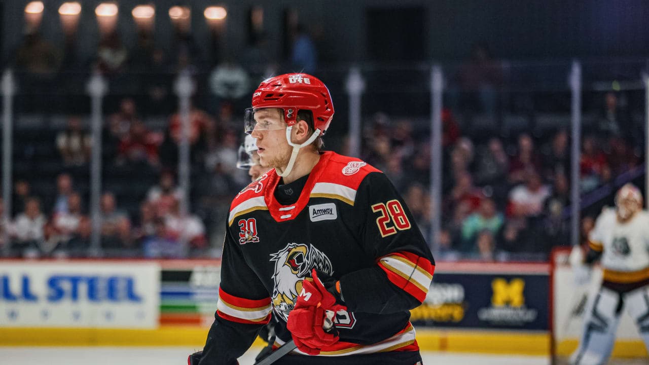 Michael Brandsegg-Nygård's AHL rise shows Detroit's prospect growth