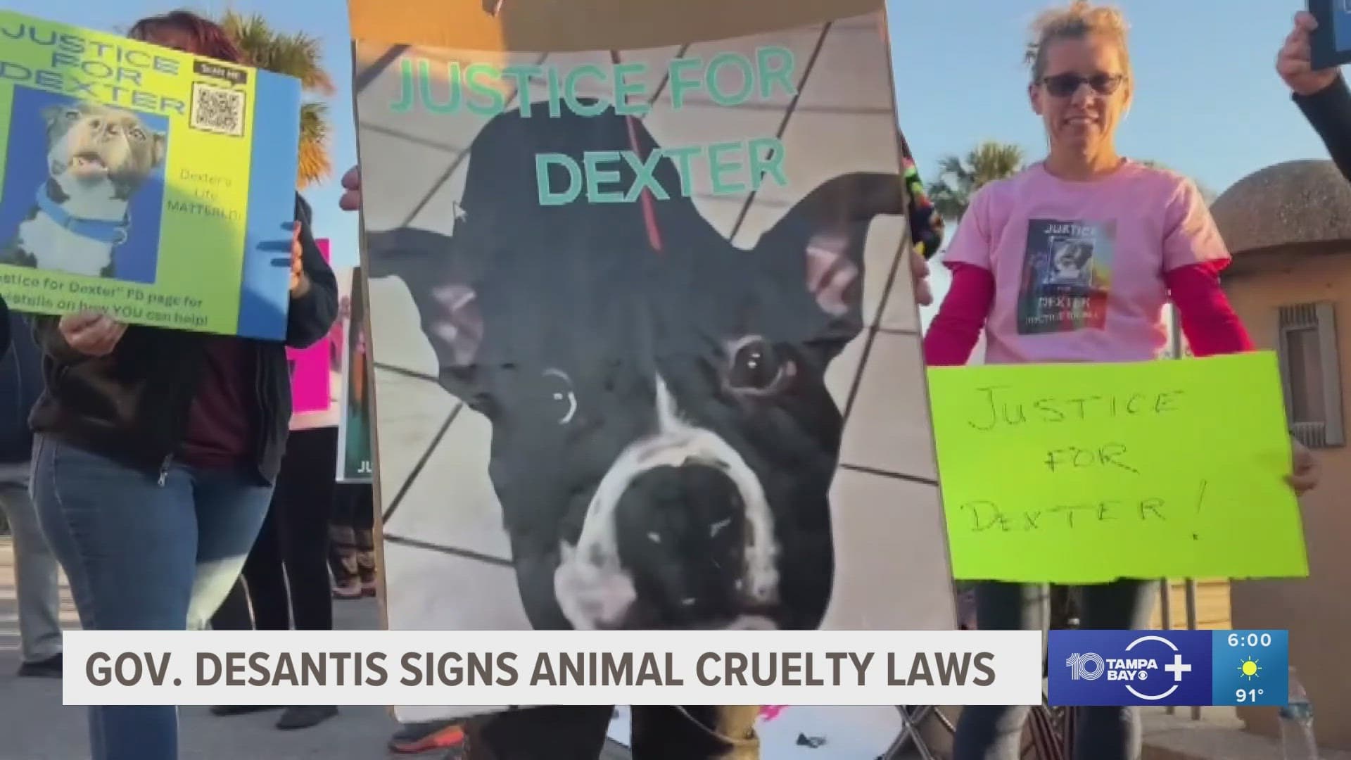 New Florida Animal Abuse Registry Raises Concerns in Seminole County
