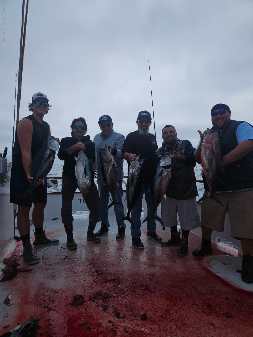 San Diego Fleet Reports Renewed Bluefin Tuna Activity in Mid-March Waters