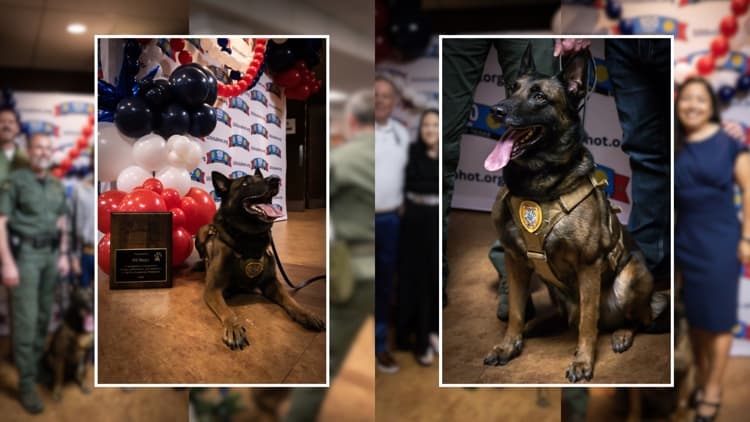 Waco Police K9 Andor Shot in Line of Duty, Recovers and Honored