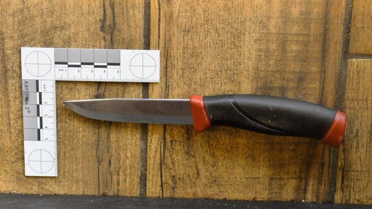 Portland woman stabbed during restaurant robbery; suspect arrested and charged