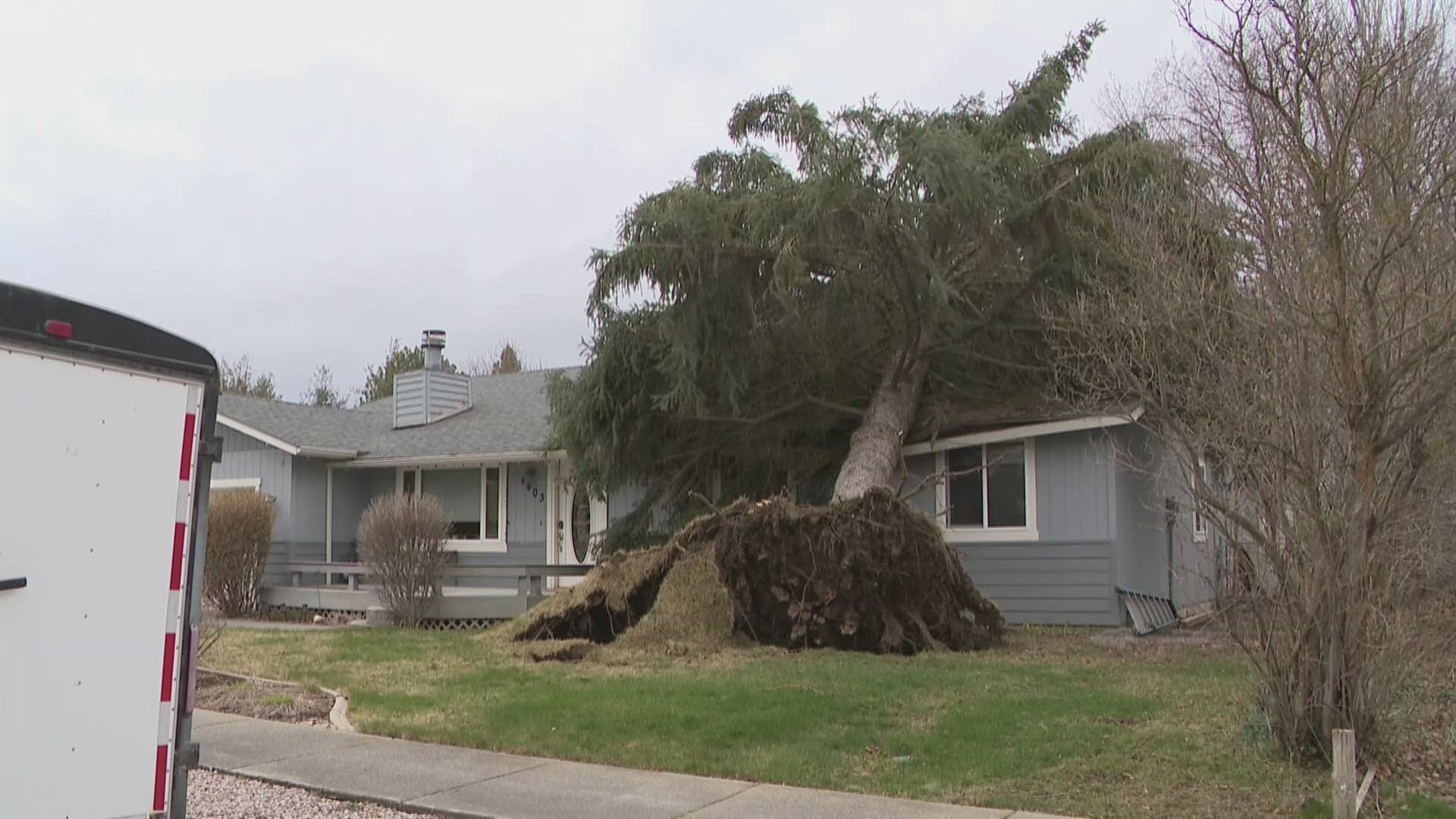 Overnight Windstorm Topples Trees, Knocks Out Power in Coeur d'Alene