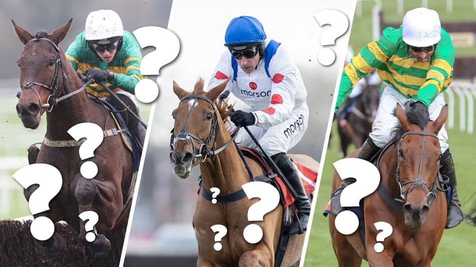 Cheltenham Trials Day: The New Lion’s Trip Question and Triumph Hurdle Battle