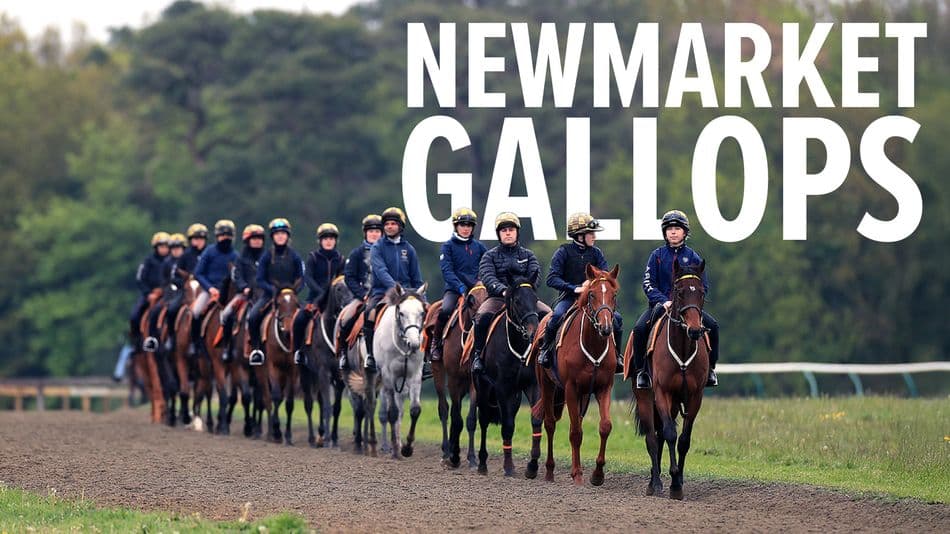 Ombudsman impresses at Newmarket as Royal Ascot return nears