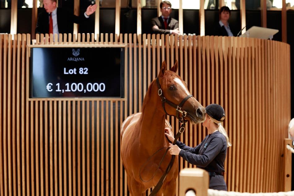 Glending Stables Sioux Nation filly surges to €1.1 million at Arqana