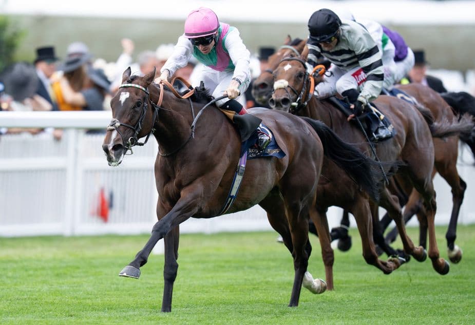 Blue Bolt powers clear in Duke of Cambridge Stakes at Royal Ascot