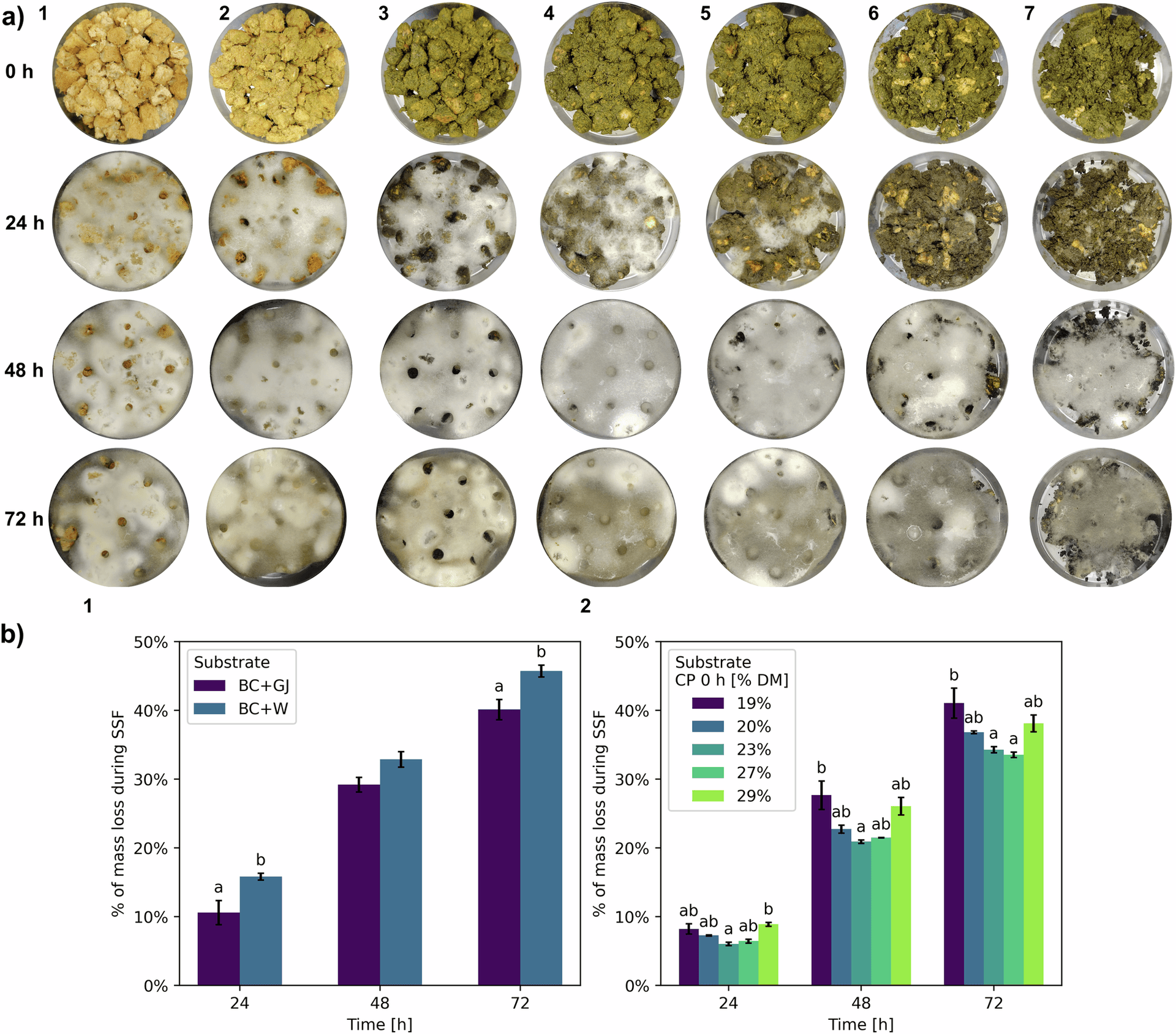Fermentation improves odor of ryegrass protein and bread crust blend