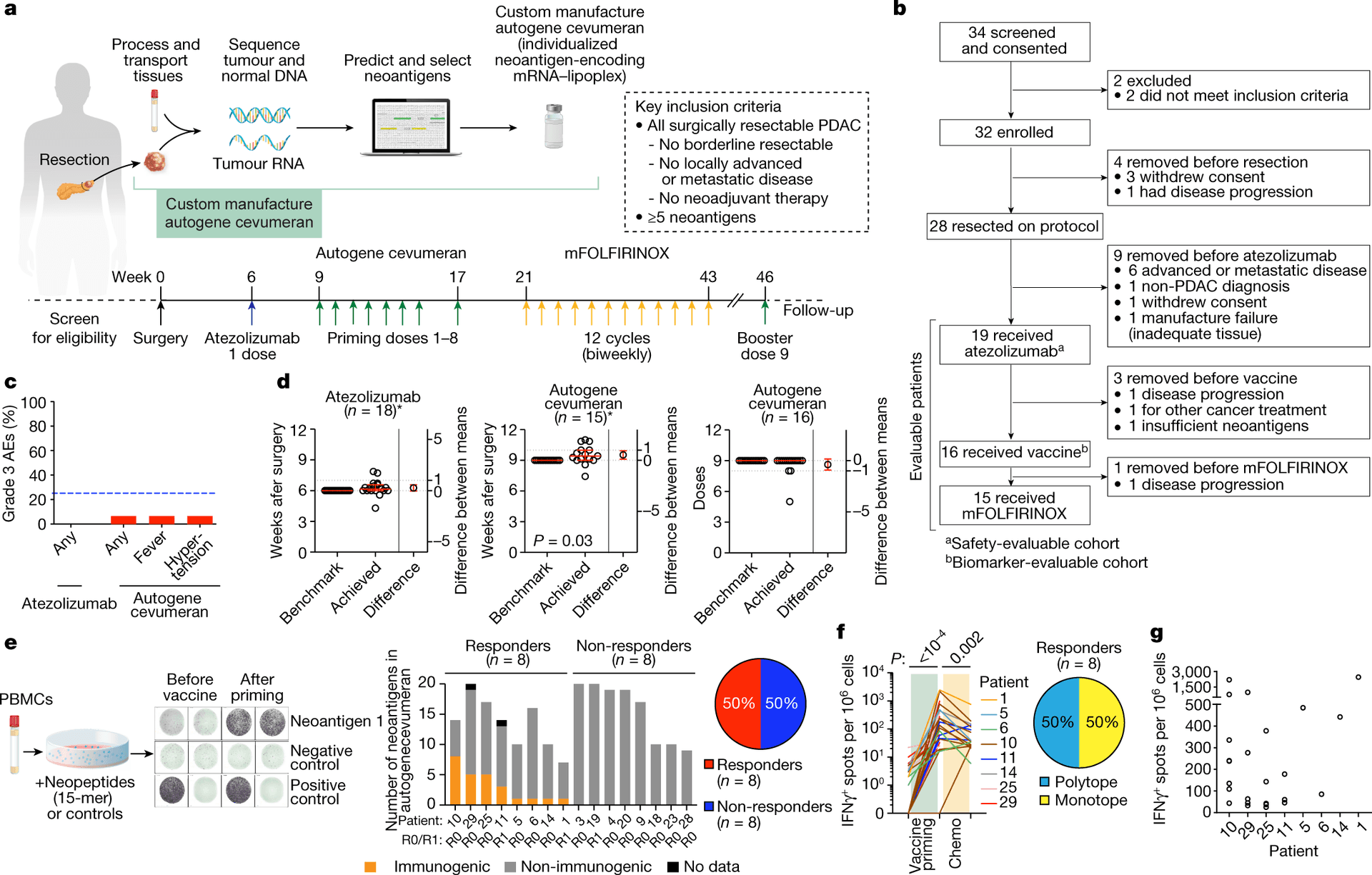 Personalized mRNA pancreatic vaccine shows lasting survival in early trial