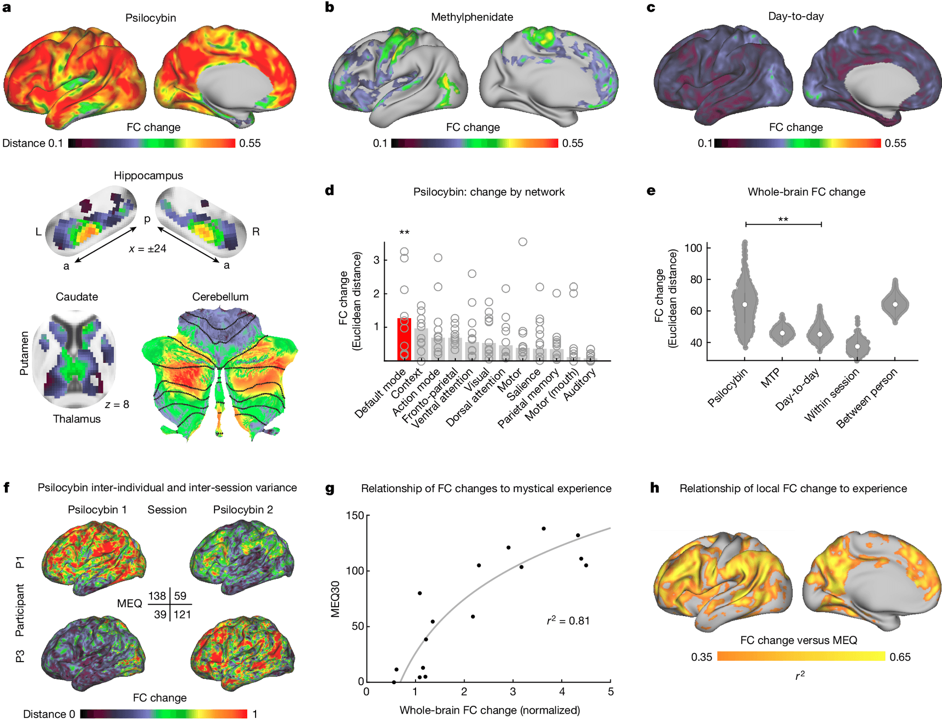 Single psilocybin dose changes brain structure, boosts well-being in study