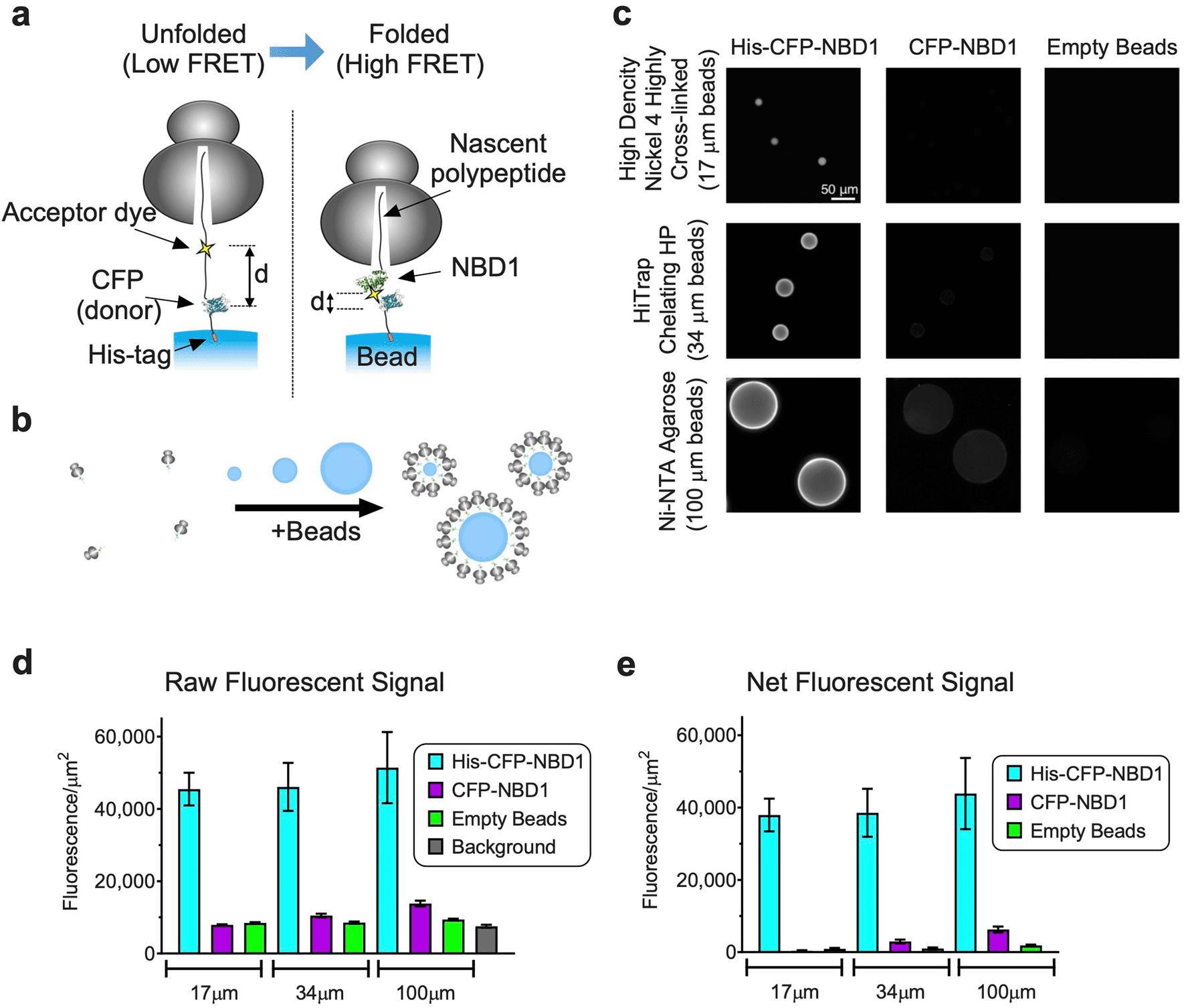 Stanford team unveils APB-Display to measure protein binding at massive scale