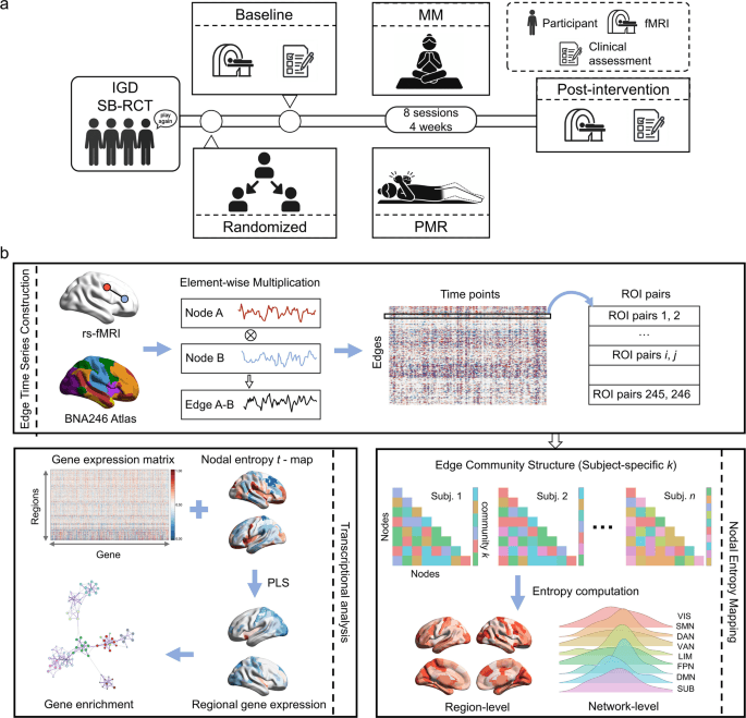 Mindfulness meditation boosts brain network complexity in gaming disorder trial