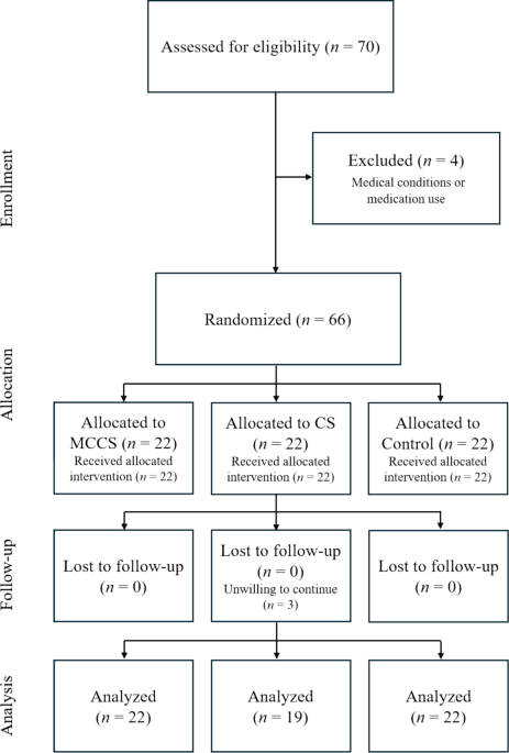 Mindfulness boosts exercise adherence and reduces stress in young adults