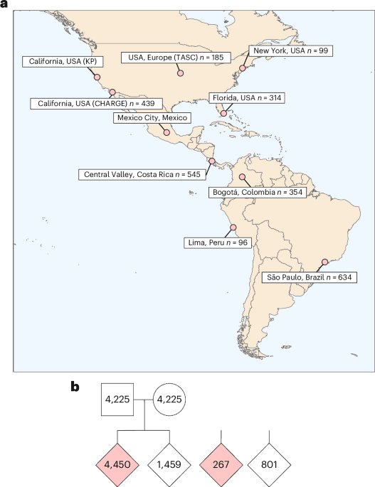 Autism Genetics Study Finds Risk Genes Shared Across Latin American Ancestries