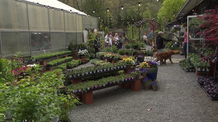 Creekside Gardens offers living Mother’s Day gifts as plants fly off shelves