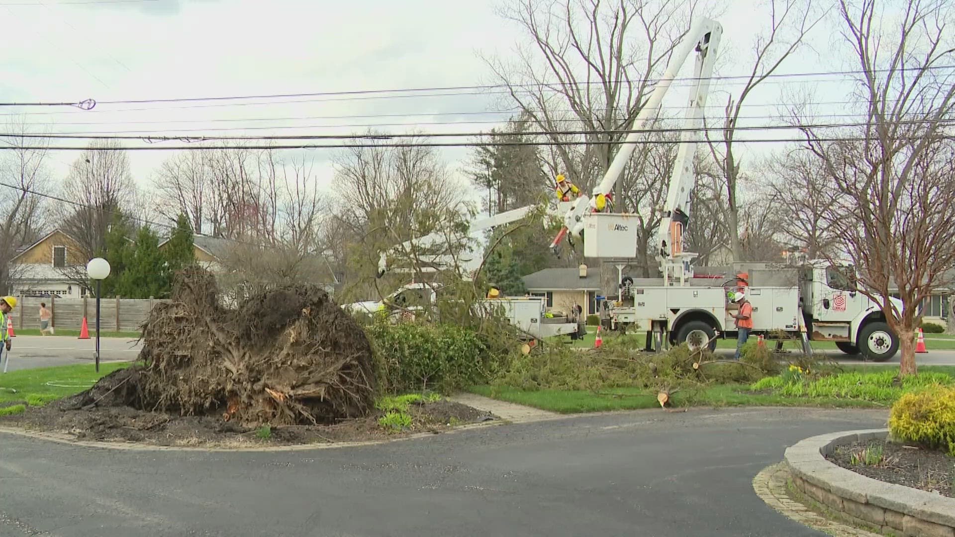 Thunderstorm winds down trees near Ferdinand in Dubois County