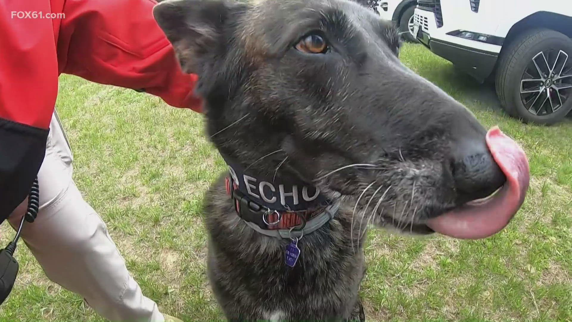 Oxford EMS launches volunteer K-9 search-and-rescue team for missing-person cases