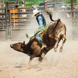 Logan County PRCA rodeo set for July 30-31 in Sterling