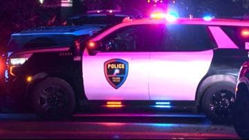 Plano woman dies after being struck chasing dog across Parkwood Boulevard
