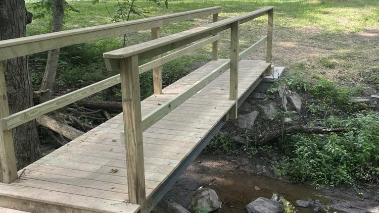 Erie County adds bridge and stairs to Emery Park disc golf course