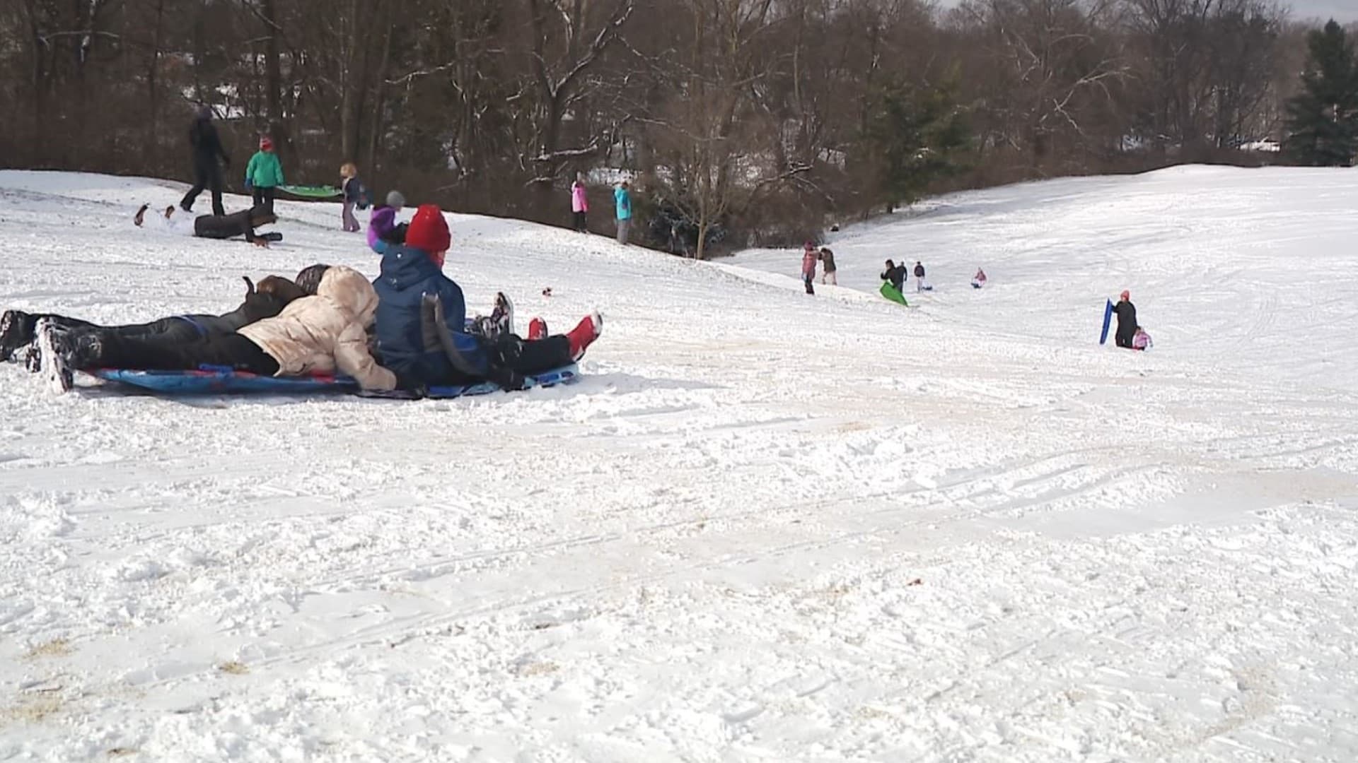 Top Winter Outdoor Spots in St. Louis County for Sledding, Skating, Hiking