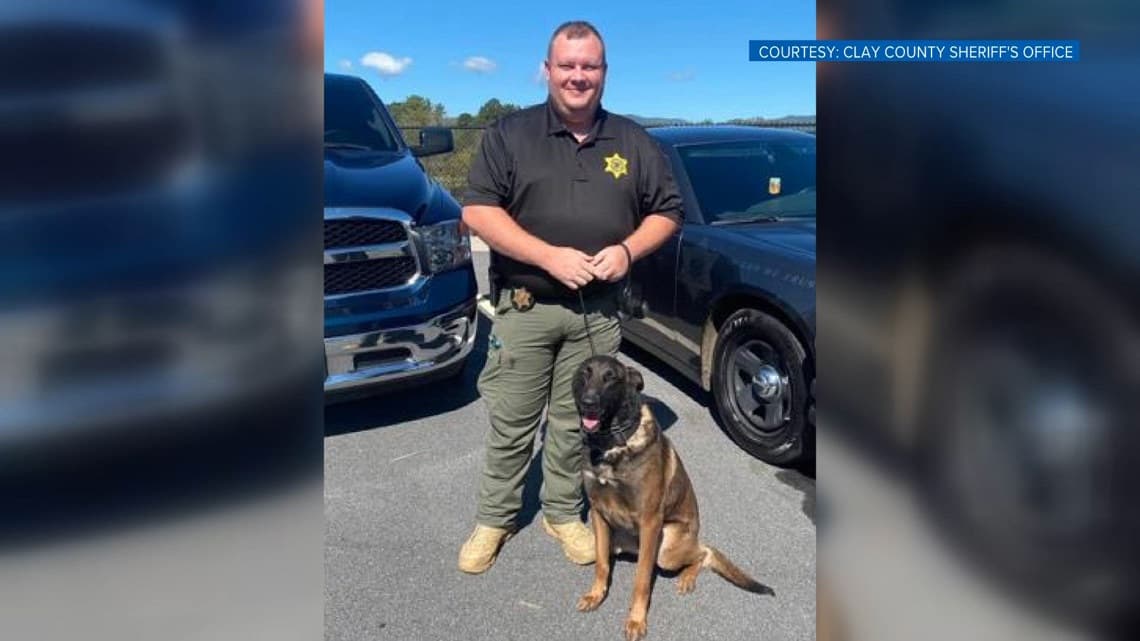 Tennessee law lets EMS stabilize and transport injured police dogs